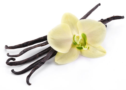 Vanilja |  aromiöljy