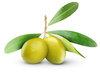 Oliivisteariini | pöytäkynttilä | 100% oliiviöljypohjainen