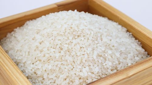 Riisiproteiini | hydrolysoitu